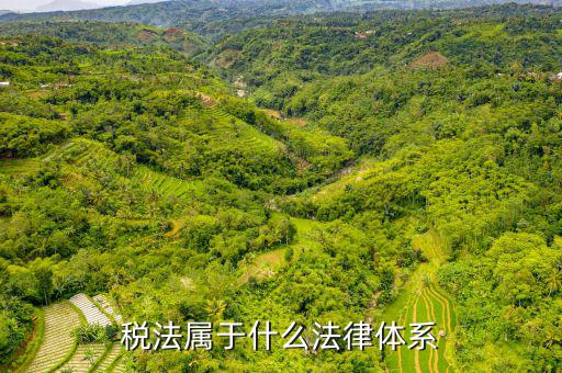 企業(yè)所得稅法屬于什么法，企業(yè)所得稅法是怎樣的