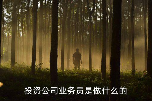 投資公司業(yè)務(wù)員是做什么的，投資公司業(yè)務(wù)員是做什么的