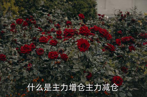 主力增減倉什么意思，什么是主力增倉主力減倉