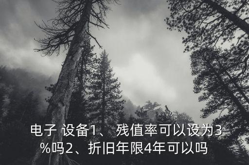  電子 設(shè)備1、 殘值率可以設(shè)為3%嗎2、折舊年限4年可以嗎