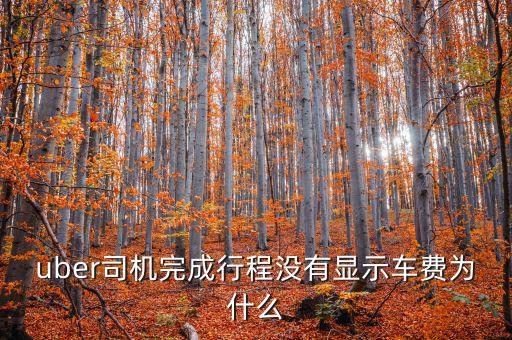 uber為什么不顯示價(jià)格，優(yōu)步叫車前看不到價(jià)格