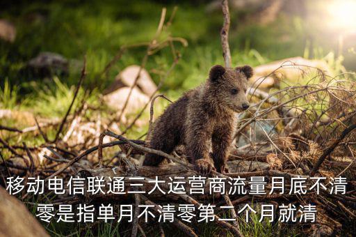 移動電信聯(lián)通三大運(yùn)營商流量月底不清零是指單月不清零第二個月就清