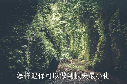 什么辦法能退保險不損失，退保怎樣能減少損失