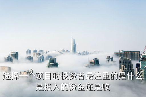 投資人最看重什么投資收益，投資者最看重的是什么呢