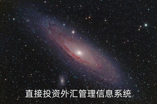外資上什么傳到外管局應(yīng)用平臺，直接投資外匯管理信息系統(tǒng)