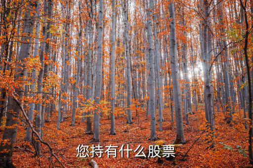 張正委持有什么的股票，香港中央代理人持有哪些股票