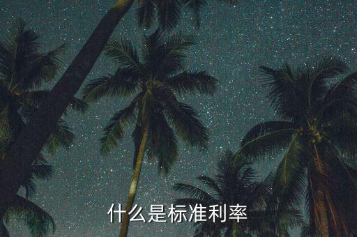 利率屬于什么指標(biāo)，什么是標(biāo)準(zhǔn)利率