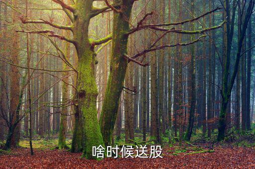 鐵嶺新城什么時(shí)候送股，大家都說它出的中報(bào)好但我不知道怎么看我只想問問什么么時(shí)候