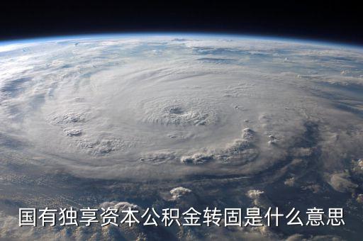 國有獨享資本公積金轉固是什么意思