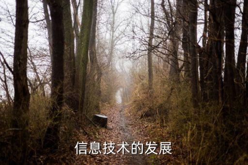 信息發(fā)展是什么板塊，中國軟件 屬于什么板塊