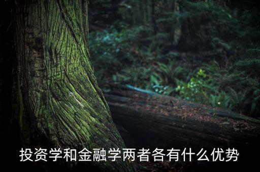 投資學(xué)有什么用，投資學(xué)和稅務(wù)學(xué)專業(yè)各自具體是學(xué)什么的以后就業(yè)前景及方
