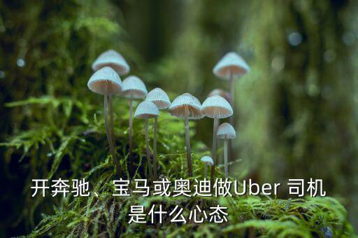 開(kāi)奔馳、寶馬或奧迪做Uber 司機(jī)是什么心態(tài)