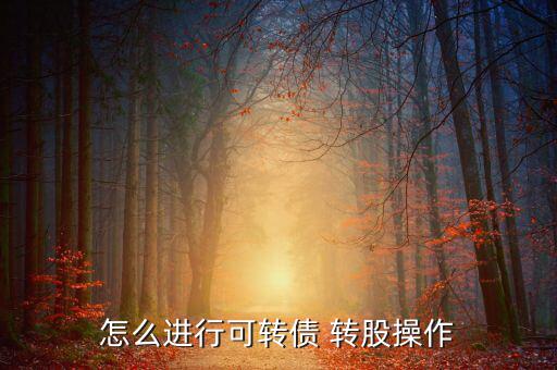 南山轉股怎么轉,可轉債轉股交易日到達指定用戶交易賬戶