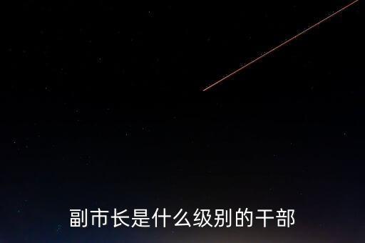 重慶市副市長(zhǎng)是什么級(jí)別，重慶副市長(zhǎng)是什么級(jí)別