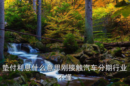 墊付利息是什么意思，紅利保險(xiǎn)會(huì)自動(dòng)墊付期間會(huì)出利息