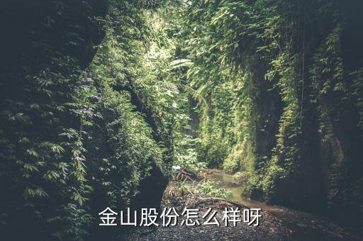 為什么沒人關(guān)注金山股份，金山股份怎么樣呀