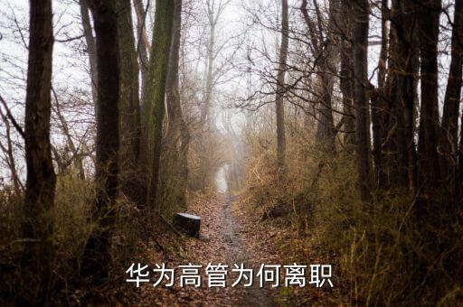 范家輝為什么離職，美國(guó)駐華大使家輝為什么宣布將辭職為什么來(lái)的如此的突然