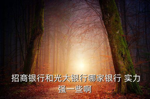  招商銀行和光大銀行哪家銀行 實力強(qiáng)一些啊