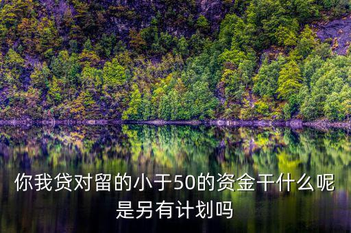 你我貸為什么我要投2萬才能減50，你我貸對留的小于50的資金干什么呢是另有計劃嗎