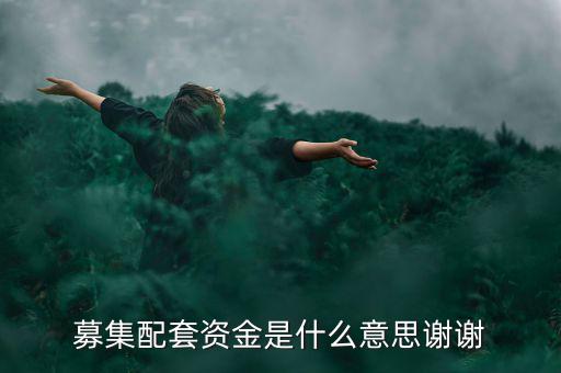 配股募資是什么意思，配股是什么意思啊