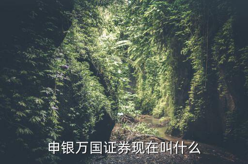 申銀萬國并什么證券公司了，申銀萬國證券現(xiàn)在叫什么