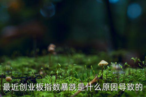 2014創(chuàng)業(yè)板指數(shù)為什么會下跌，為什么股指大幅下跌2014