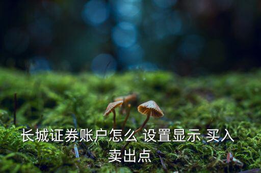 長城證券賬戶怎么 設置顯示 買入 賣出點