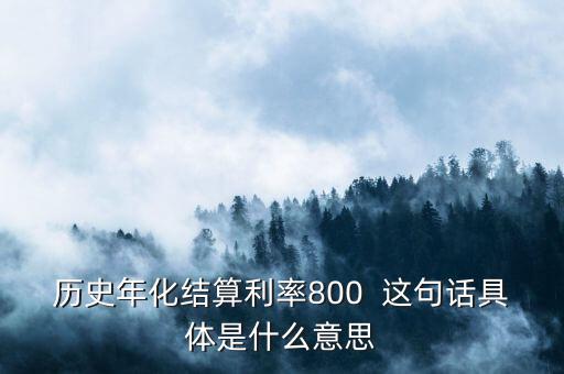 年化結算利率是什么，歷史年化結算利率800  這句話具體是什么意思