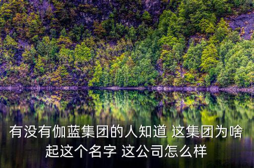 伽藍(lán)集團為什么不上市，伽藍(lán)集團是一家什么企業(yè)
