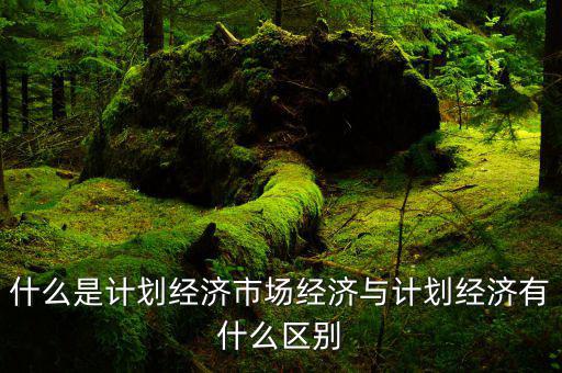 什么是市場(chǎng)經(jīng)濟(jì)和計(jì)劃經(jīng)濟(jì)，什么叫市場(chǎng)經(jīng)濟(jì)