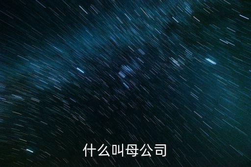 財(cái)務(wù)報告中母公司是什么意思，財(cái)務(wù)報表中的合并與母公司是什么意思