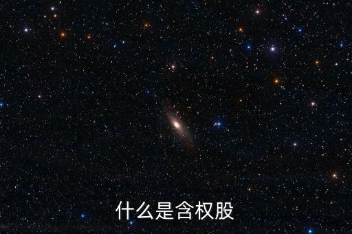 什么是含權(quán)股，請(qǐng)問(wèn)什么叫含權(quán)的股票