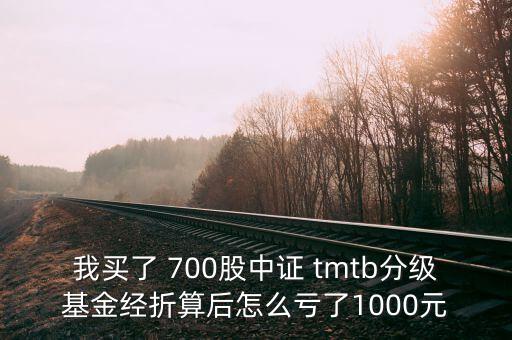 tmtb基金是什么股票，我買了 700股中證 tmtb分級(jí)基金經(jīng)折算后怎么虧了1000元