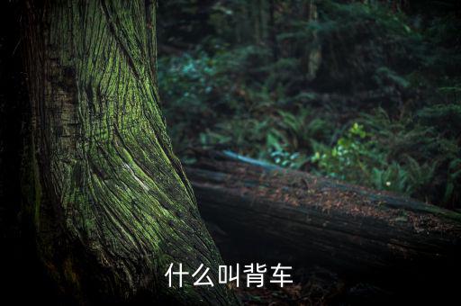 汽車背上叫什么來的，艙背車為何物