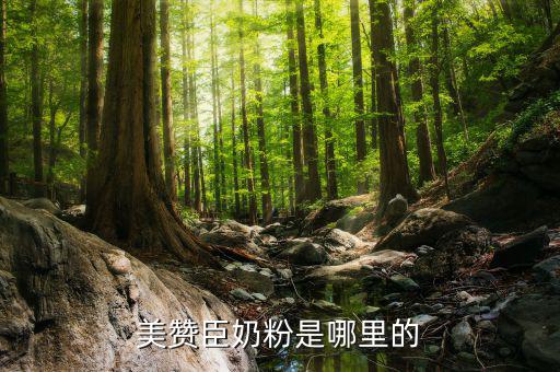 美贊臣所處的產(chǎn)業(yè)是什么，港版美贊臣到底是那里產(chǎn)的