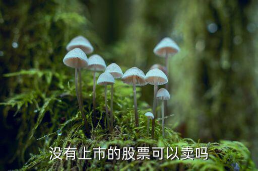 沒上市的股權(quán)證什么時(shí)候可以賣錢，新股如果中簽了沒上市能賣出