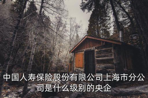 市屬?lài)?guó)企是什么級(jí)別，省屬和市屬企業(yè)的界定標(biāo)準(zhǔn)是什么