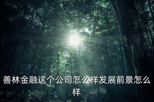 善林公司經(jīng)營(yíng)什么，善林金融這個(gè)公司怎么樣發(fā)展前景怎么樣