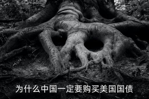 中國(guó)為什么買美國(guó)的國(guó)債，中國(guó)為什么要買那么多美國(guó)國(guó)債能不能說得通俗一點(diǎn)我不太懂經(jīng)濟(jì)