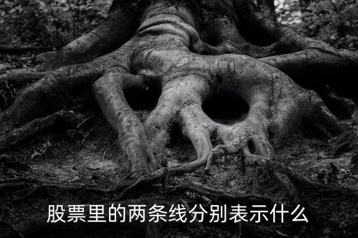 股票伴侶線代表什么，股票行情圖線的意義