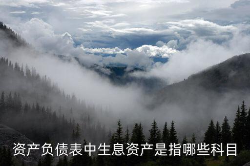 什么是生息負債，什么是速動資產(chǎn)流動負債和生息債務(wù)