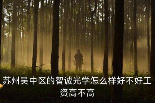 智誠光學里面主要生產什么，蘇州智誠光學公司怎么樣