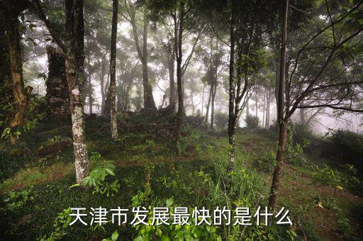 天津靠什么發(fā)展，天津市發(fā)展最快的是什么