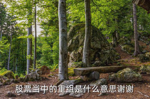 什么是重組，重組在電腦術(shù)語(yǔ)中什么意思