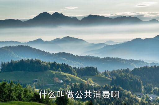 什么是公共消費，什么叫做公共消費啊