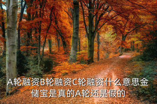 幾輪融資是什么意思，A輪融資B輪融資是什么意思
