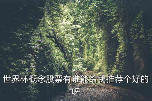 世界杯什么股票好，世界杯概念股票有誰(shuí)能給我推薦個(gè)好的呀