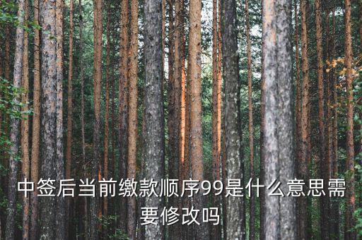 繳款順序99是什么意思，99是什么意思