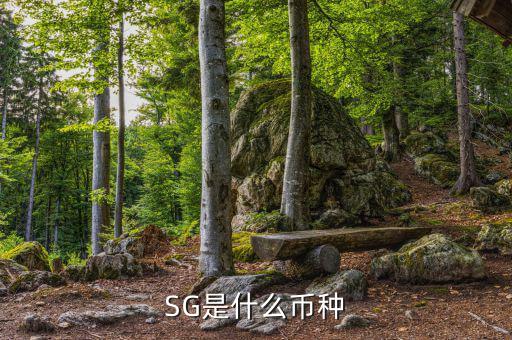 sgd是什么幣種，SG是什么幣種
