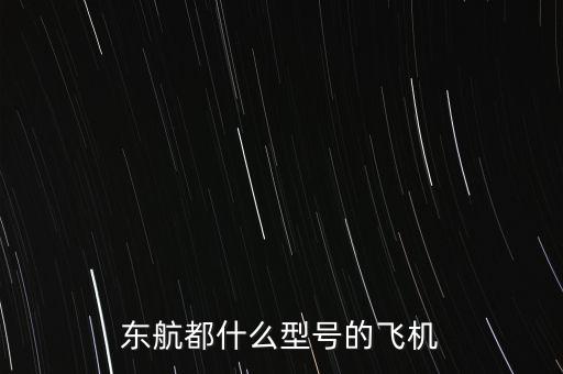東航都是什么牌子的飛機(jī)，東航機(jī)型330是什么飛機(jī)
